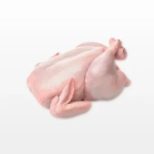 Frozen Chicken